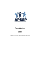 Constitution 2023